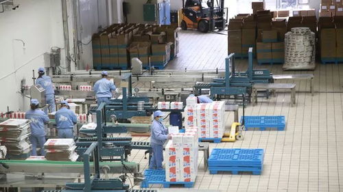 打造一片凈土，開足馬力保牛奶制品安全供應與勞動保護用品銷售