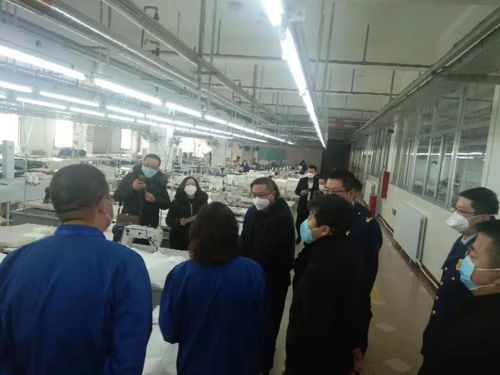 加強安全監管，助力疫情防控——自治區應急管理廳為防護用品生產企業提供專項安全指導服務