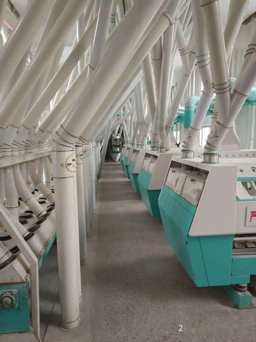 梁山縣新豐面粉廠 誠(chéng)邀全國(guó)經(jīng)銷(xiāo)商，共拓勞動(dòng)保護(hù)用品銷(xiāo)售新藍(lán)海